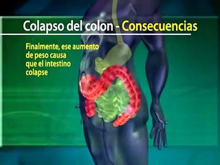 Sobre la Salud Digestiva y el colon - Dra Rocio Medina Herbalife