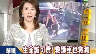 生命誠可貴! 救護車也救狗 (華視新聞網).flv