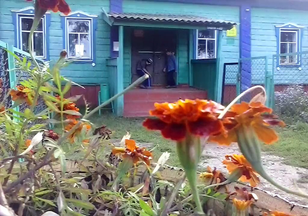 --z--2