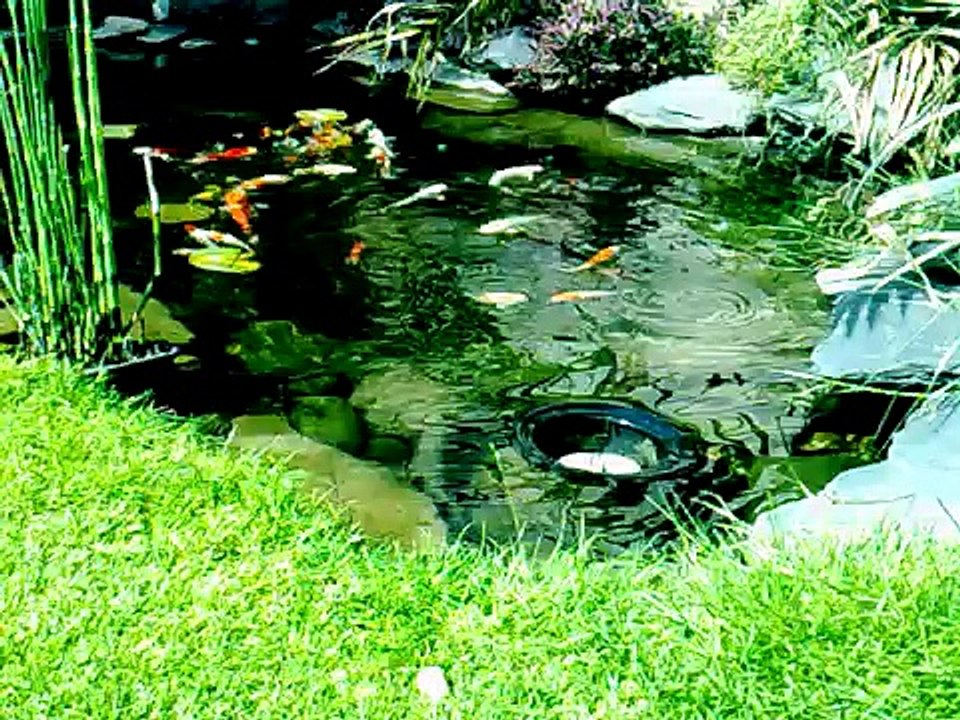 Garden Koi Pond with Stream & Waterfalls - West London