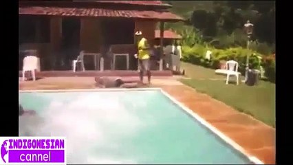 Funny Videos Try Not To Laugh Funniest Moments Best Fails #12 2015