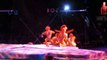Video 130 - Disney's Animal Kingdom - Festival of the Lion King - Hakuna Matata