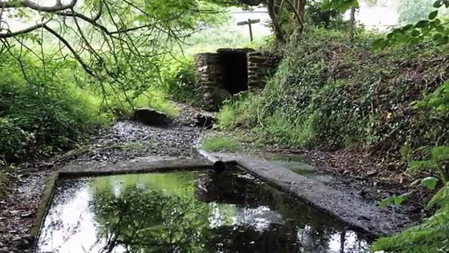 Brocéliande forêt sacré, géobiologie quantique