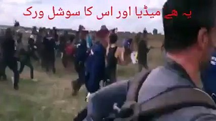 shameful act camerawoman with migrating people