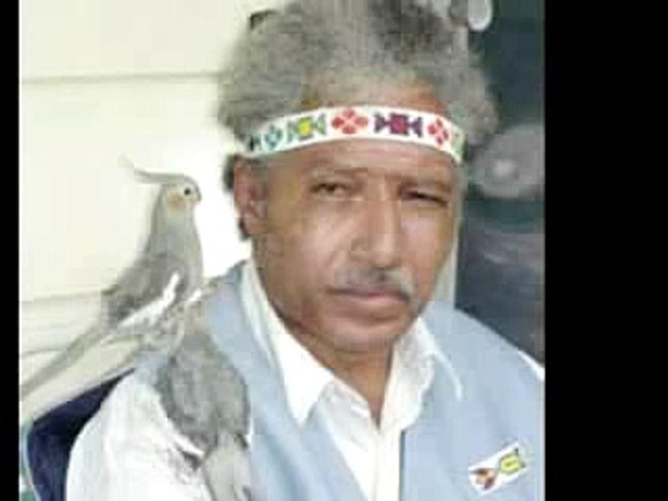 brilliant scientist pt4