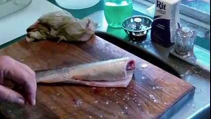 How is this even possible-