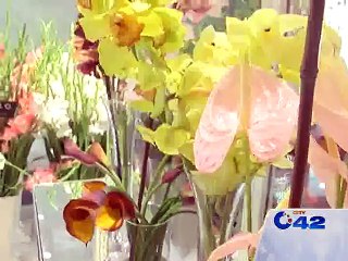 Flowers Exhibition in DHA