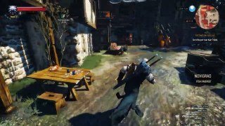 The Witcher 3 Wild Hunt NG+ Playthrough pt 34 (Part 14)