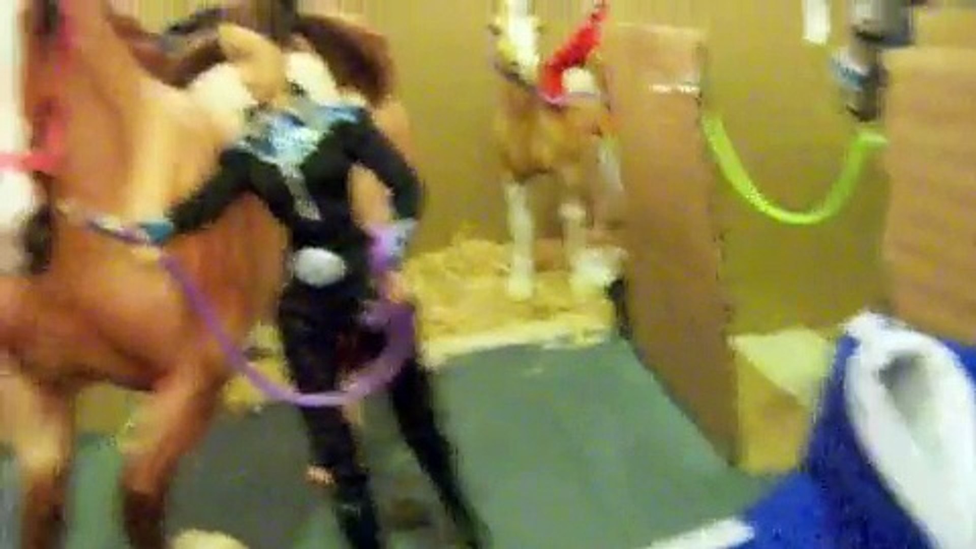 My Breyer Barn Video Dailymotion