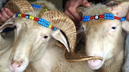 Mubarek Qurban Bayrami - Eid Ul-Adha Mubarak