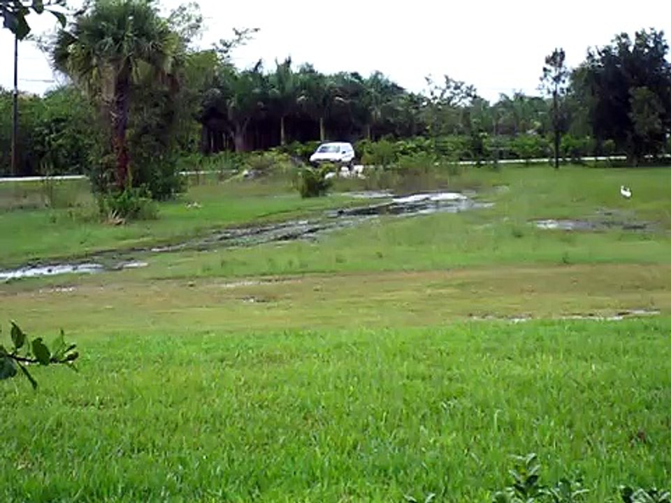 Sarah Stuck in the Driveway