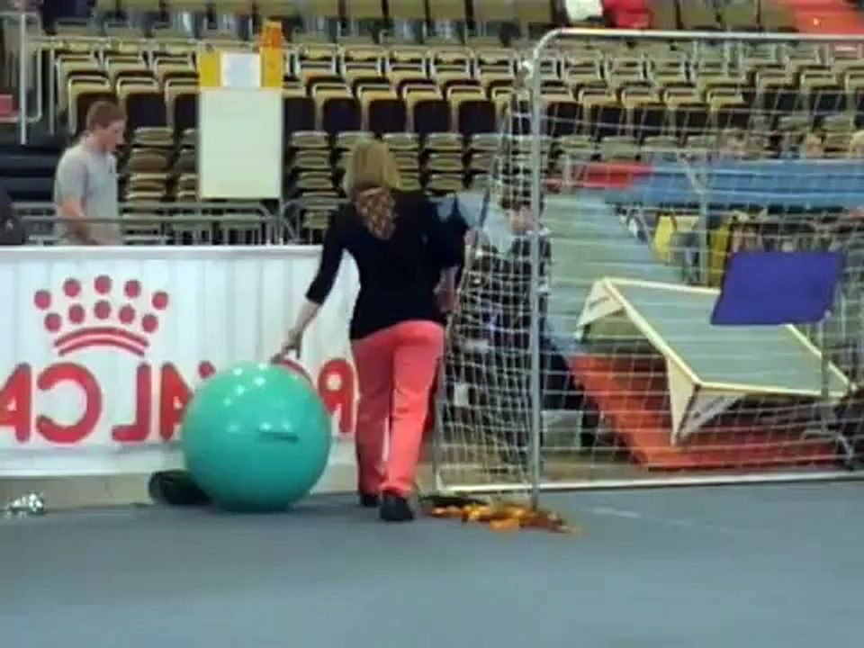 Danceball.wmv