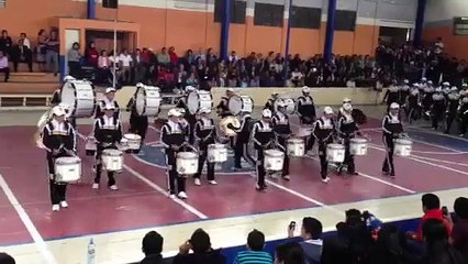 Patria Marching band