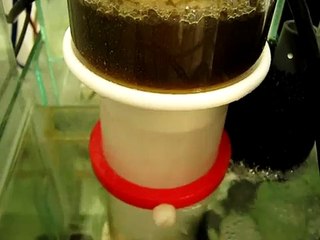 SKIMMER BUBBLE MAGUS BM NAC QQ NEW QQ PT2