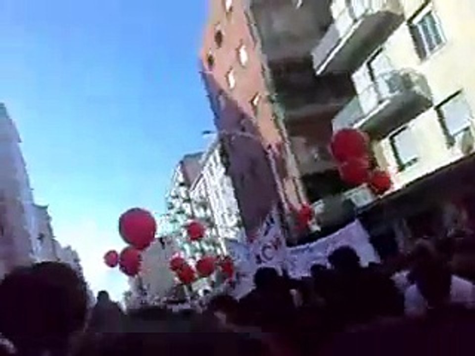 Pacinotti Cagliari manifestazione del 14/11/08 vs la Gelmini