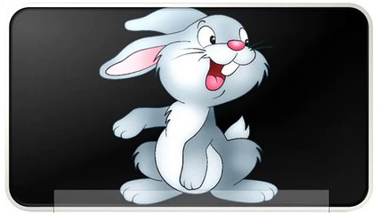 Cartoon Rabbit Pictures