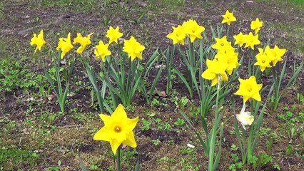 JHL - Meidän voimaa! | Nuorille Töitä --projekti, Keski-Suomen ELY-keskus