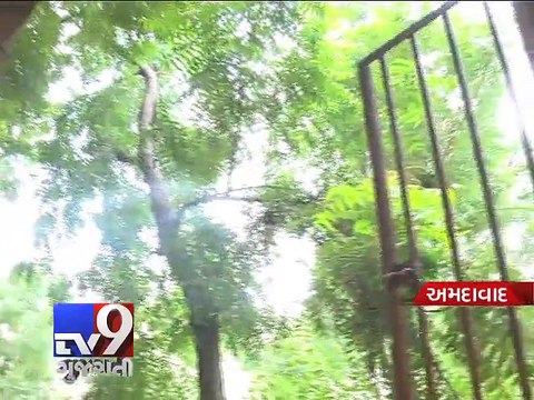 Theft at Jain temple, unknowns decamped with valuable worth Rs 1.30 lakh - Tv9 Gujarati