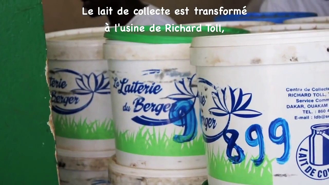 La Laiterie du Berger & Dolima : au bon lait du...