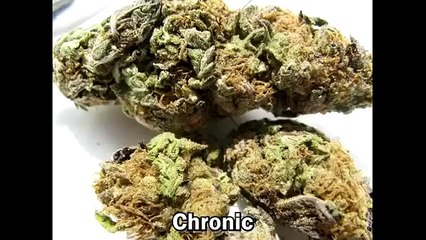 My Name's Obama   Rucka Rucka Ali