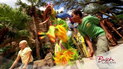 Busch Gardens, Tampa / Sunway Travel Group