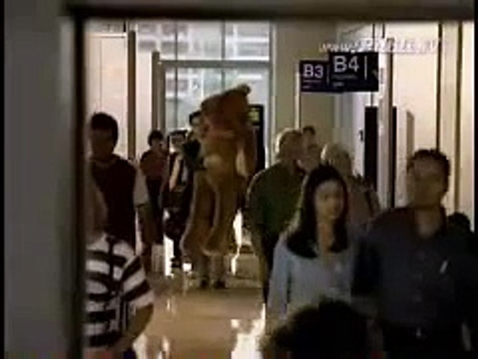 Aeroméxico - Oso