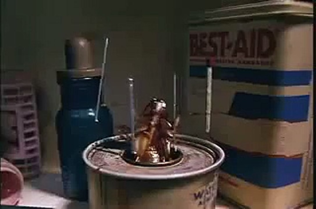 Funky Towel (Joes Apartment)