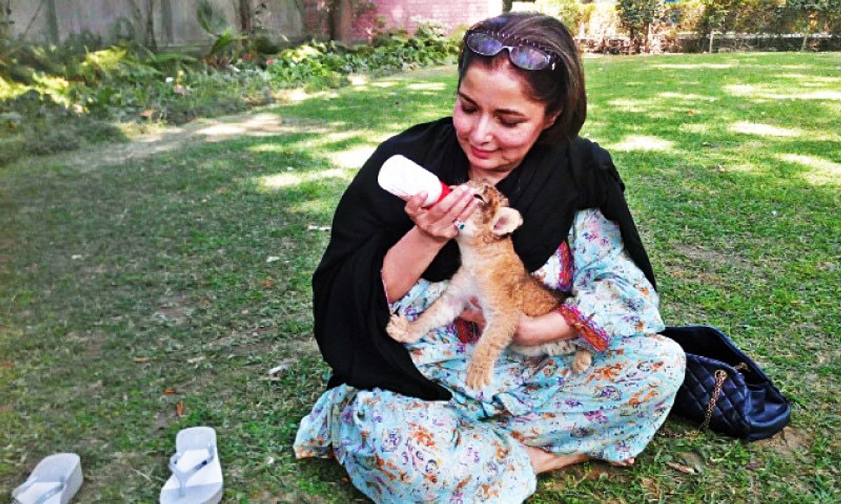 Pakistani actress Babra Sharif adopts lion cub
