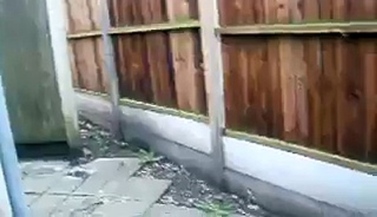 Brookside Close Tour - 2006 (old path walk way)