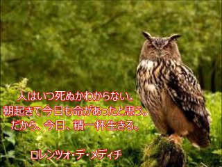 長谷川桜子（慣らし保育アドバイザー）～子どもに読み聞かせたい言葉「ロレンツォ・デ・メディチ」