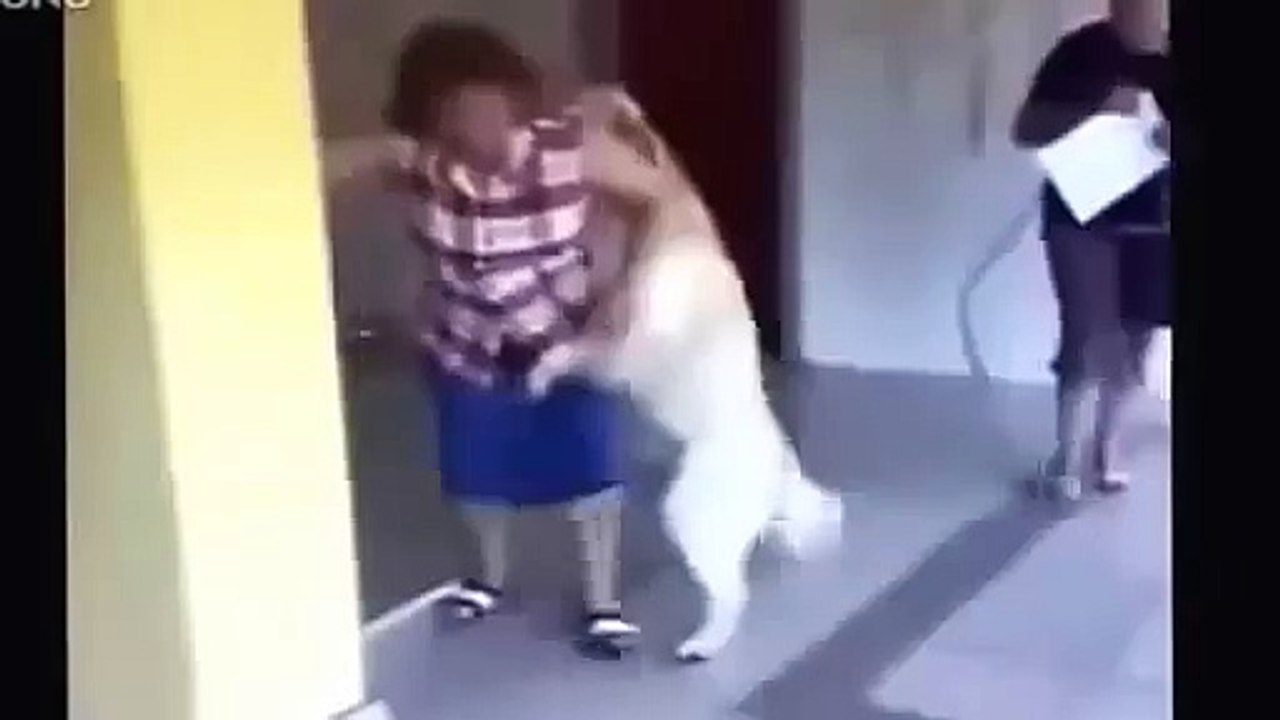 FUNNY VIDEOS  Top Vine Girls Compilation   Funny Animals Troll Videos  Funny Pranks 2014 NEW p1