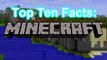 Top Ten Facts | Minecraft |Ten Facts about MC