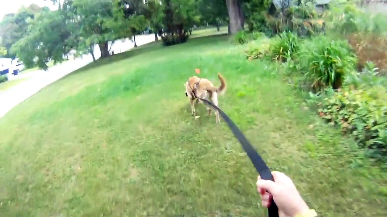 Rosie Track Aug 12 2015