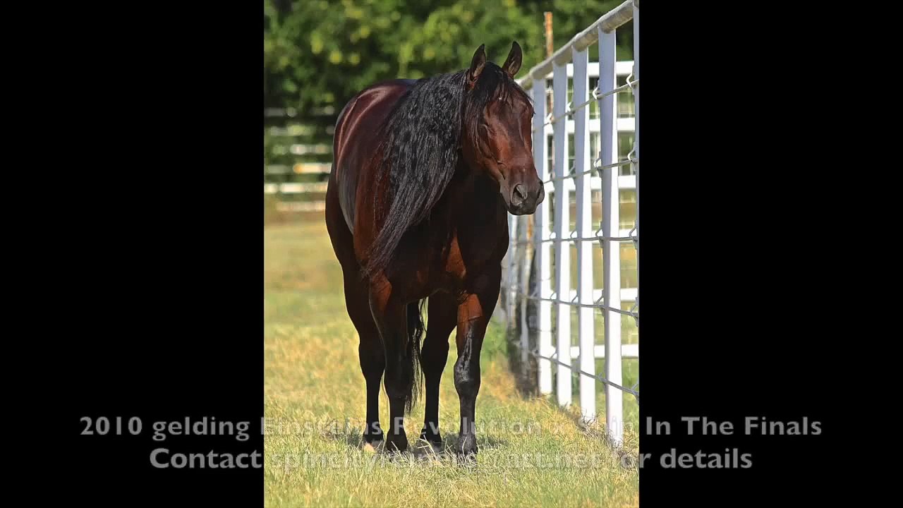 Final Revolution -**Sold to North Carolina