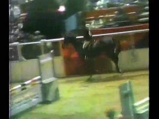 ASPCA Maclay Medal Finals - 1985:  Final round