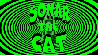 Sonar The Blind Cat - Tunnel of Mystery