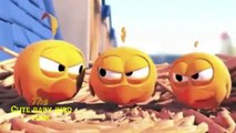 Angry Birds Singing Video   Angry Birds Game Cartoon   Funny Angry Birds Videos