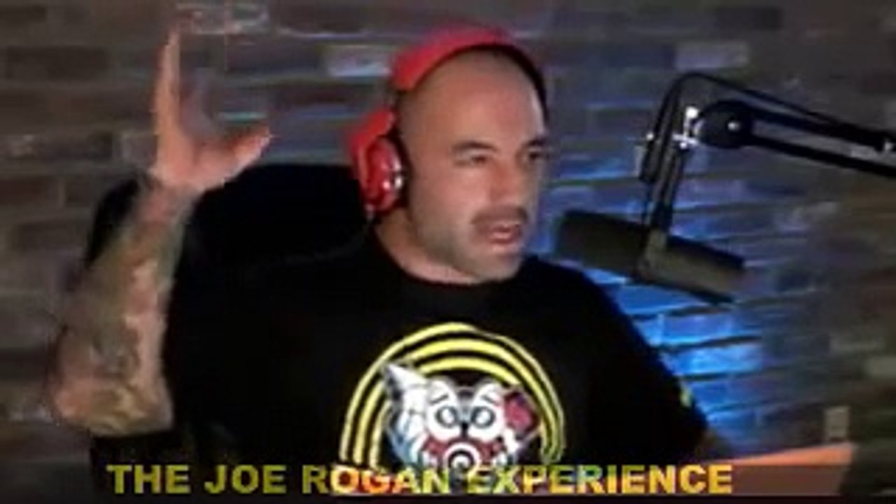 Joe rogan fake martial arts