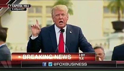 Donald Trump fires up the crowd at the