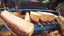 Schicht Holzspalter  3