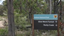 Glow Worm Tunnel - Wollemi National Park NSW Australia Ghost Train Zombies V5