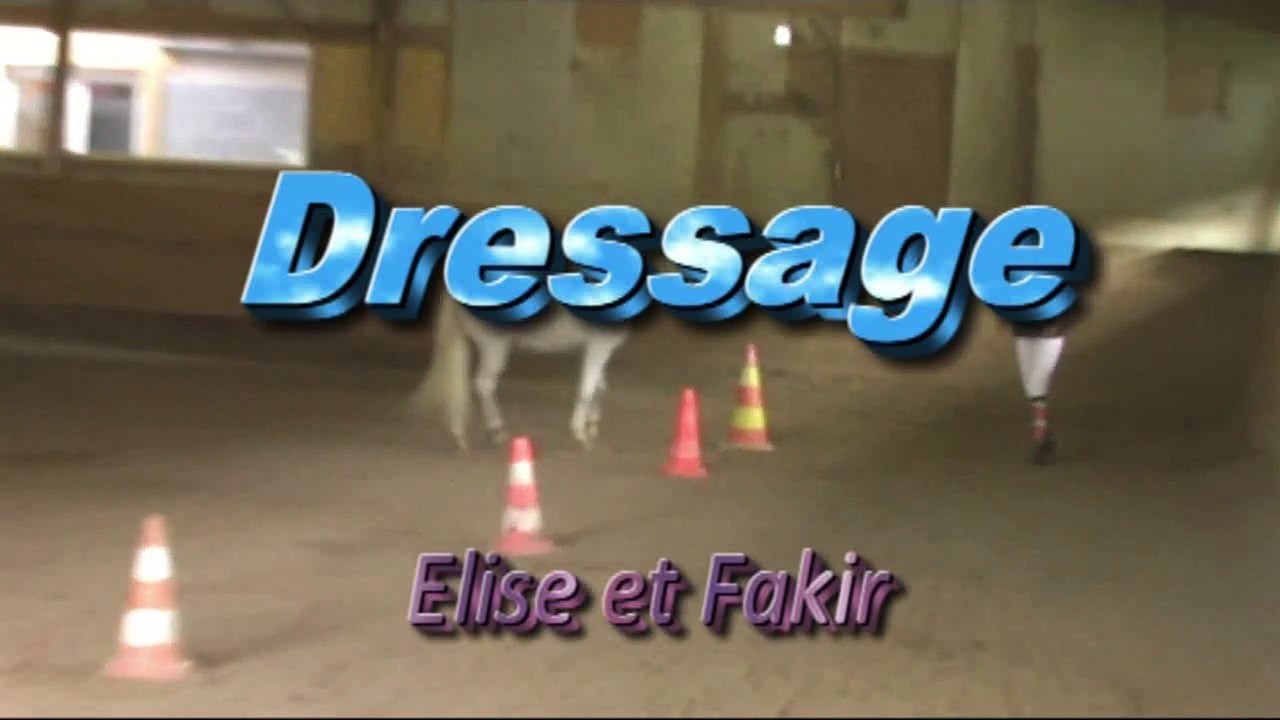 AEQUI22 PO 2015 Elise et Fakir Dressage