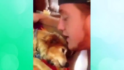 Funniest Dog Vines Compilation Best Videos of Week 2015