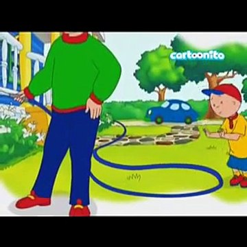 CAILLOU Italiano Giocattoli per grandi - Gli occhi