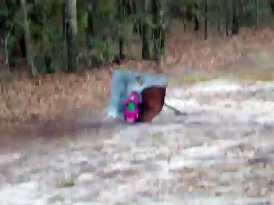barney execution