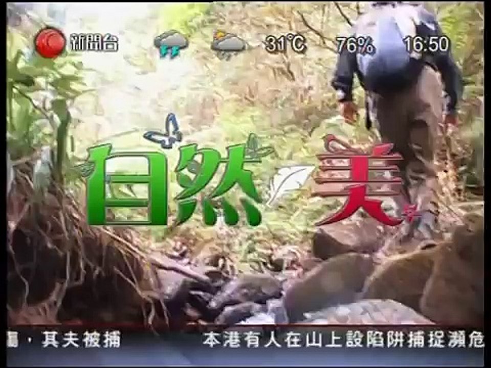 2011年9月4日金錢龜