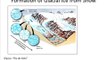 Glaciology: Basic Concepts, glacier structures and ice  flow, climate change, future projections