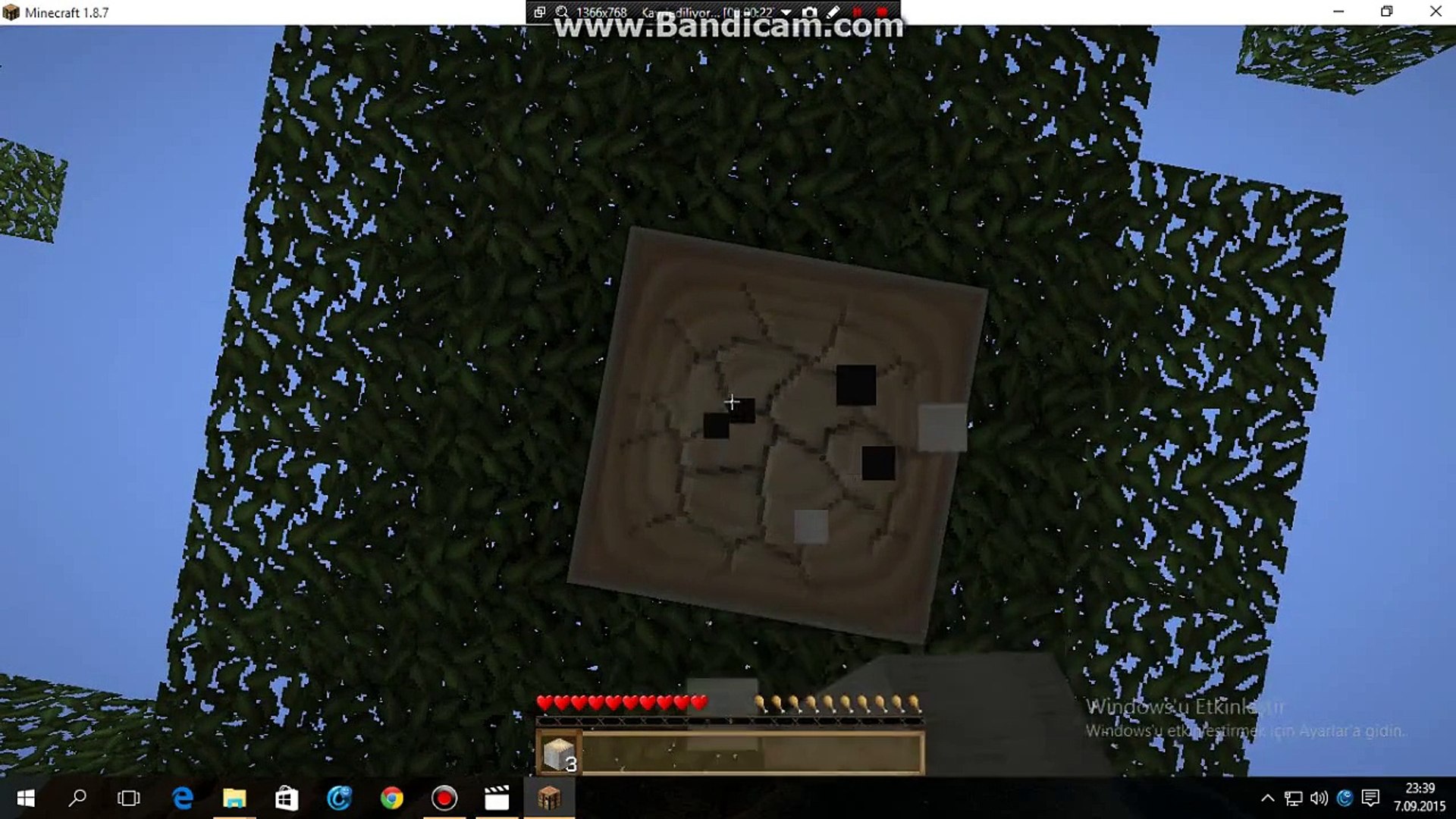 Minecraft Survival Bölüm-1