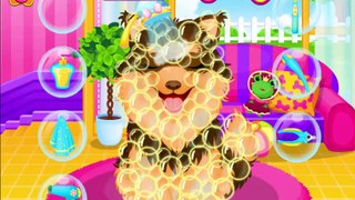 Adopted Puppy SPA Makeover. Cartoons for girls. Educational cartoons
