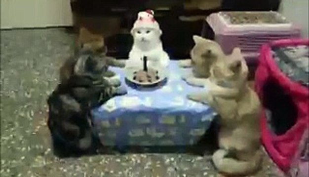 Кошки как Люди